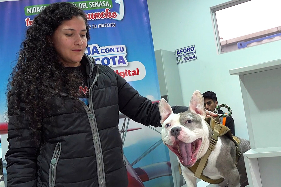 Video Andina